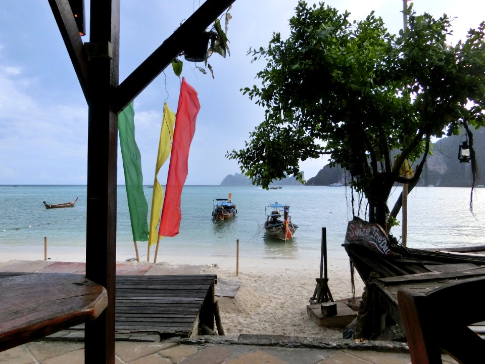 Tree Beach Vacation Sea