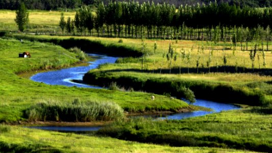 Nature Reserve Wetland Vegetation Water Resources photo