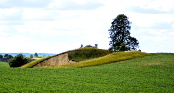Grassland Field Sky Pasture