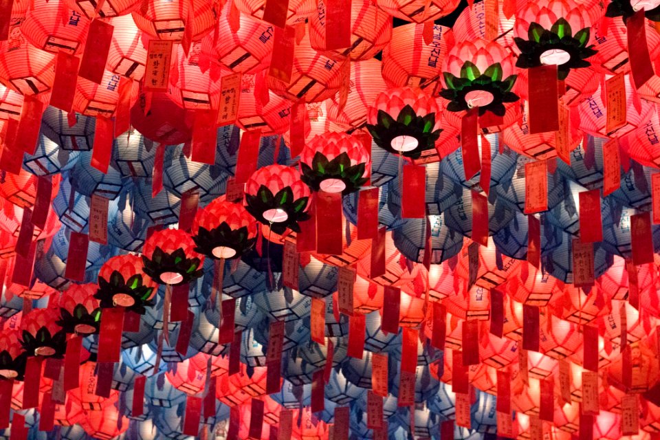 Red Flower Flowering Plant Art