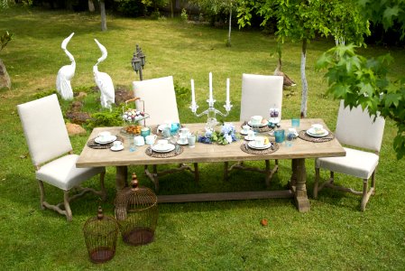 Furniture Table Backyard Grass photo
