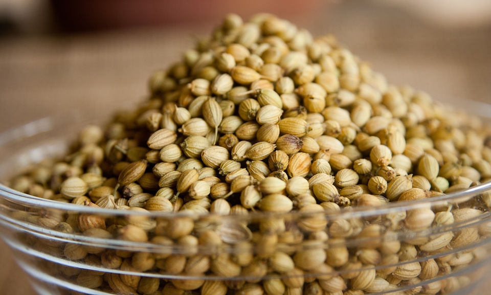 Spices ingredient food