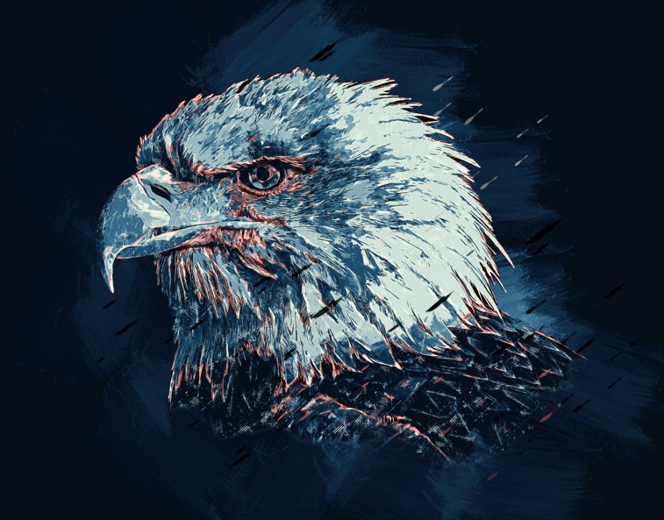 Beak Bird Of Prey Bird Eagle