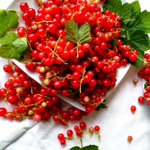 Natural Foods Berry Fruit Currant