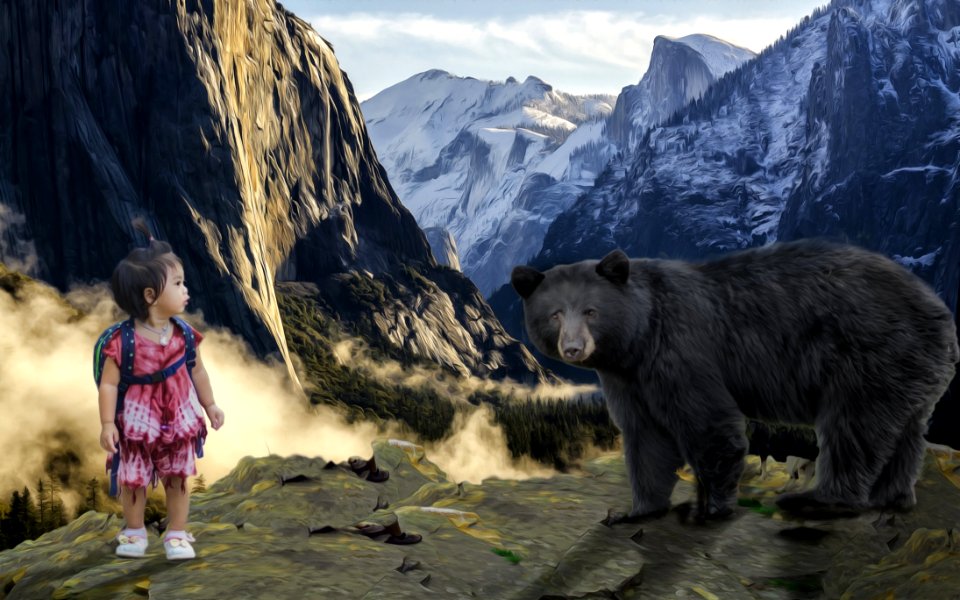 Wilderness Mountain Grizzly Bear Bear