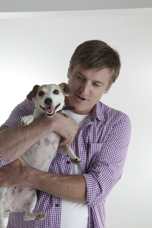 Terrier canine puppy