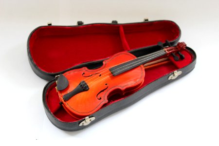 Musical Instrument Violin Violin Family String Instrument photo