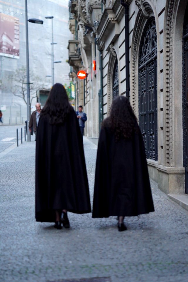 Outerwear Fur Fur Clothing Cape