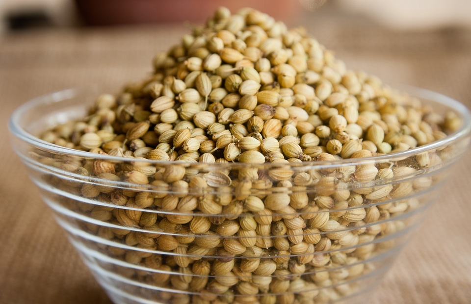 Spices ingredient food