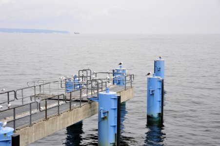 Water Sea Water Transportation Dock photo