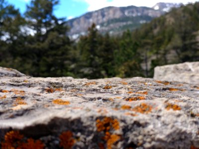 Rock Geological Phenomenon Tree Mountain photo