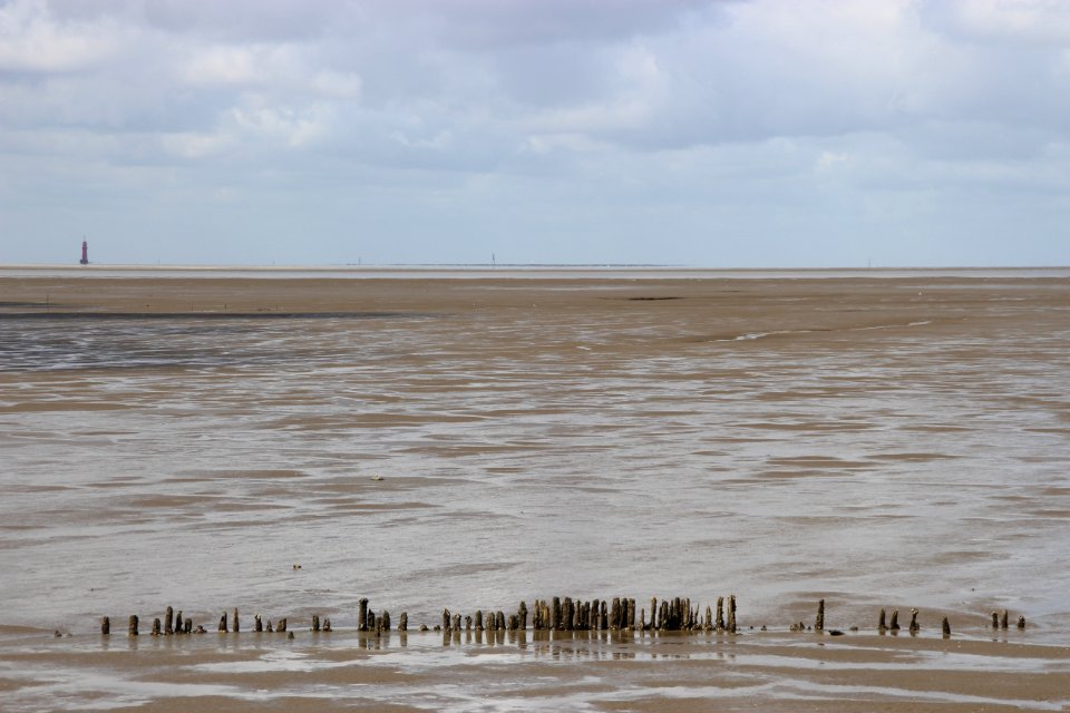 Mudflat Wetland Shore Sky