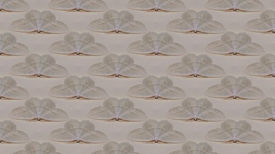 Wallpaper Pattern