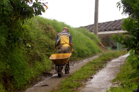 Path Road Yellow Transport