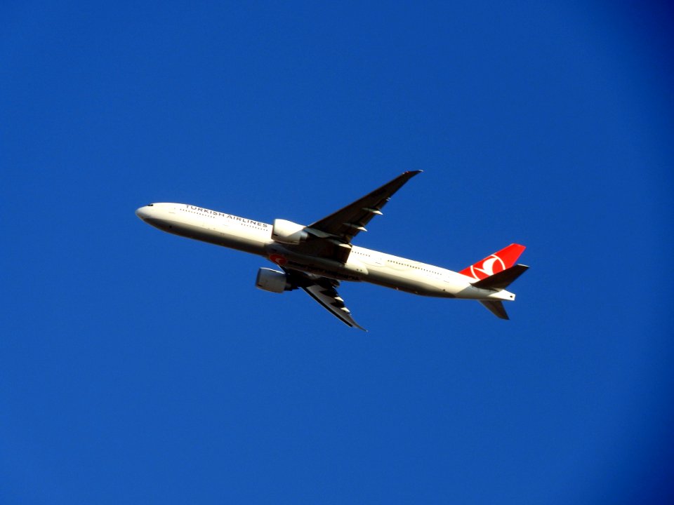 Airline Airplane Sky Airliner