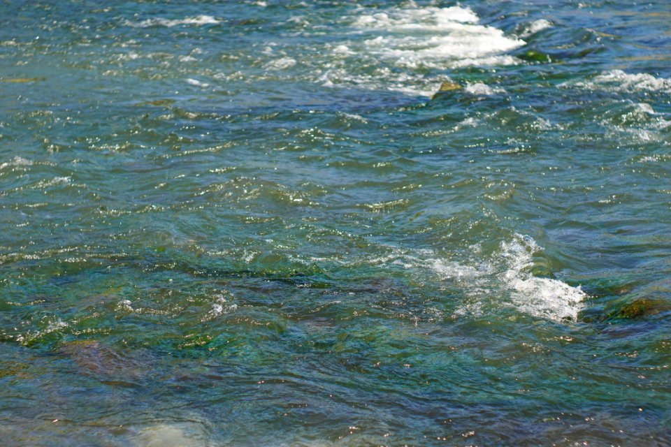 Sea Wave Water Wind Wave