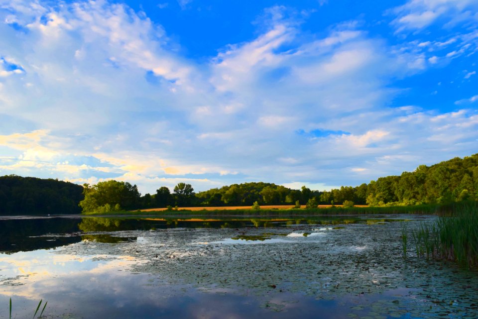 Reflection Sky Nature Water