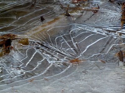 Water Freezing Frost Ice