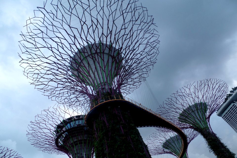 Tree Sky Architecture Tourist Attraction