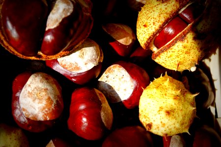 Chestnut Food Nut Nuts amp Seeds