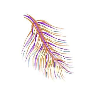Wing Line