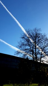 Sky Cloud Tree Daytime