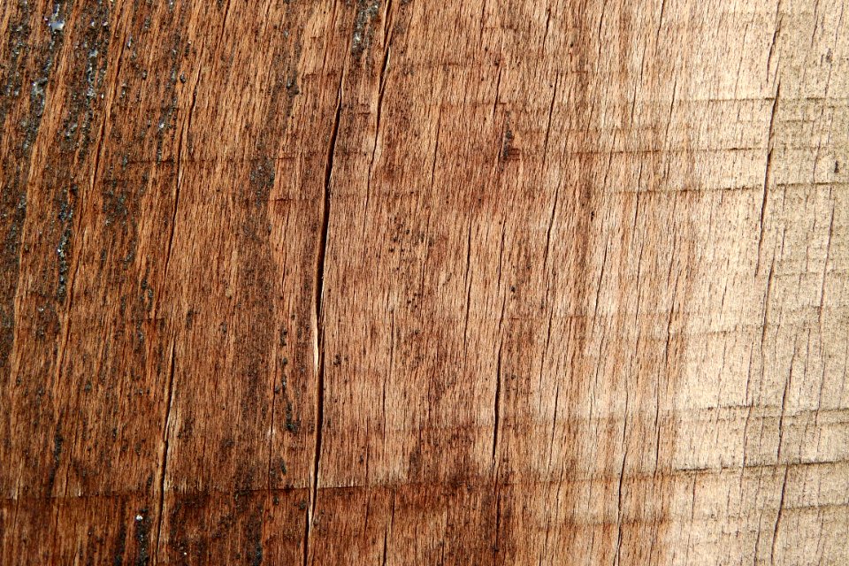 Wood Trunk Wood Stain Plank