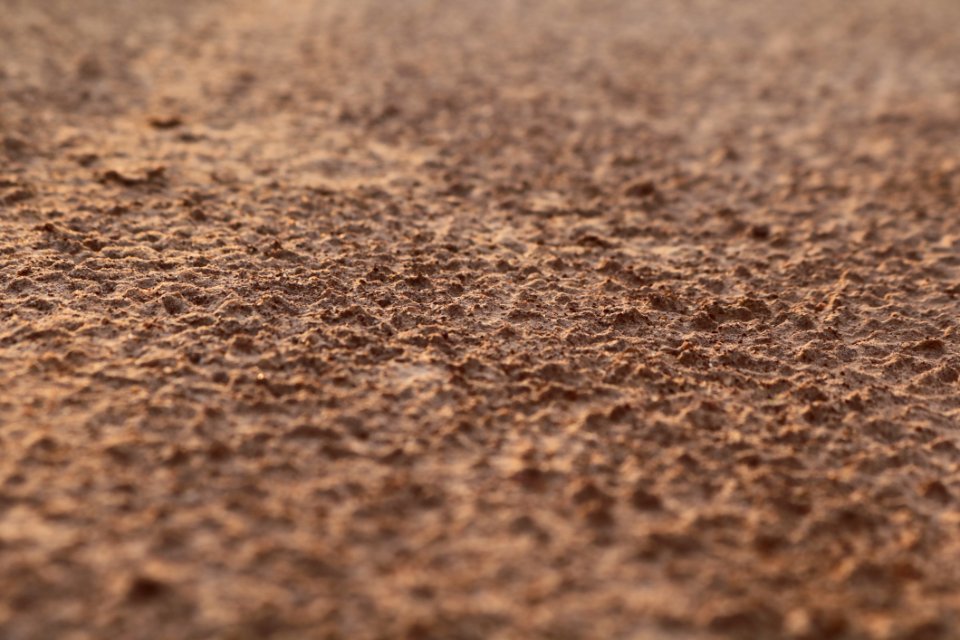 Soil Sand Ecoregion Rock