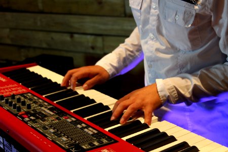 Piano Musical Instrument Keyboard Keyboard Player photo