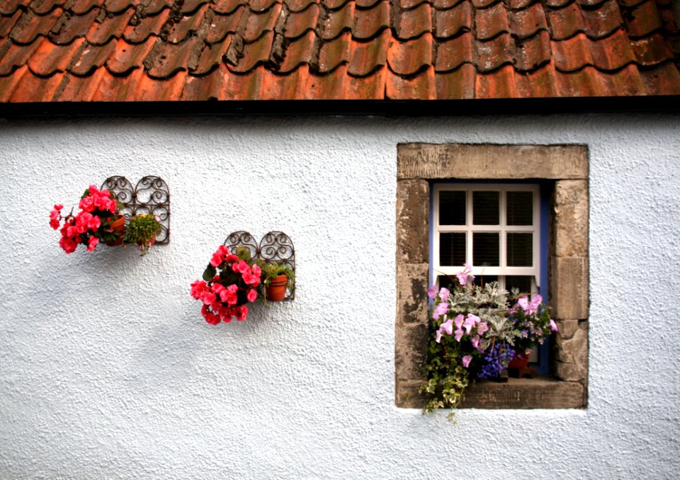Flower Wall Window House