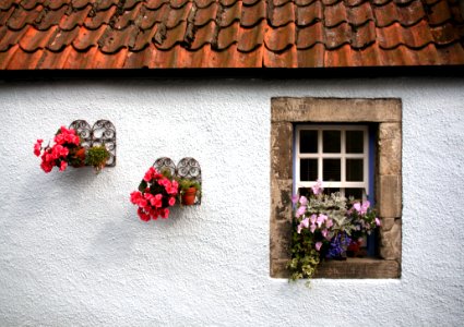 Flower Wall Window House photo