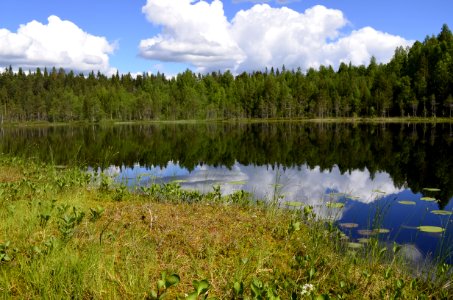 Nature Reserve Lake Reflection Ecosystem photo