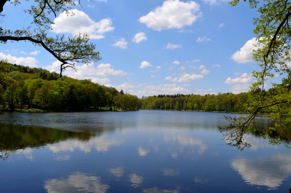 Reflection Water Nature Lake photo