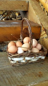 Basket Egg Ingredient