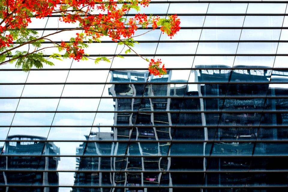 Architecture Leaf Structure Tree