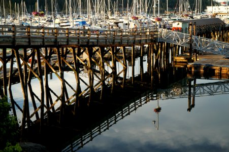 Reflection Water Dock Marina