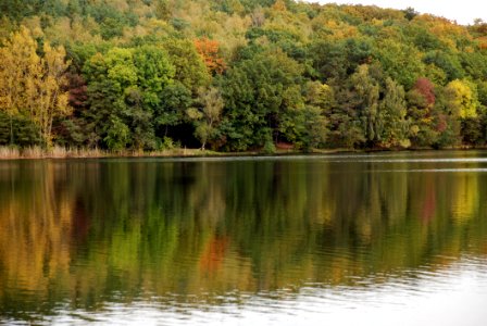 Reflection Water Nature Lake