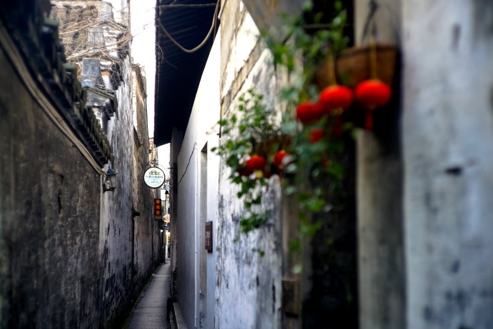 Alley Town Street Flower