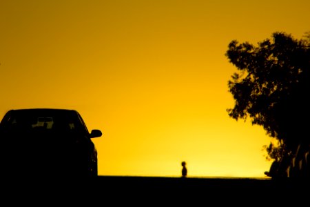 Sky Yellow Silhouette Sunrise photo