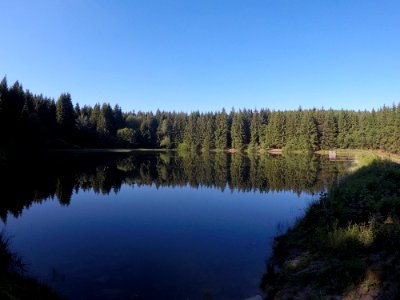 Reflection Lake Nature Wilderness