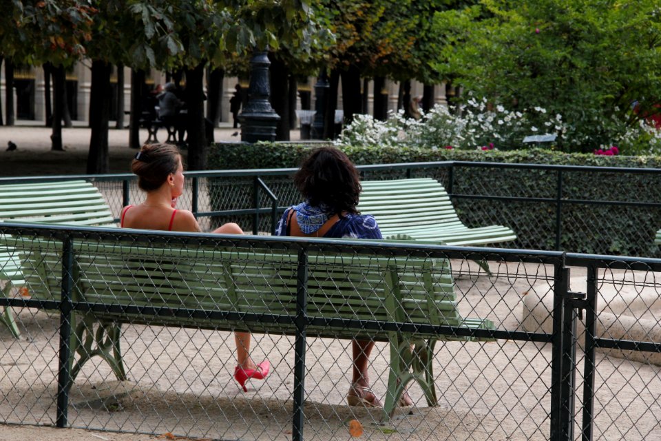Furniture Tree Bench Recreation