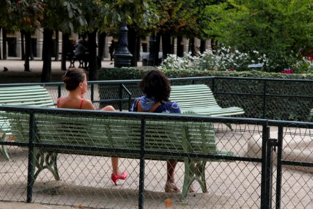 Furniture Tree Bench Recreation