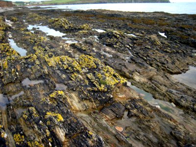 Rock Geological Phenomenon Coast Geology