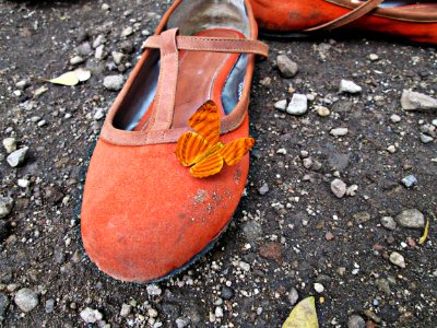 Footwear Shoe Orange Outdoor Shoe photo