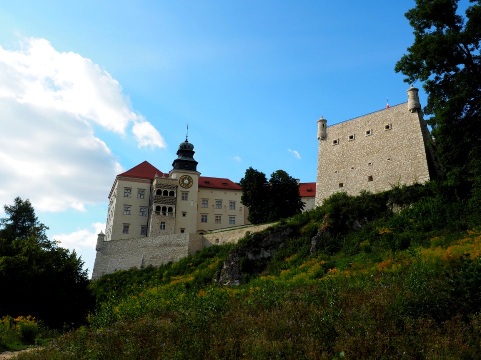 Sky Castle Chteau Building