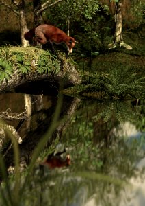 Fauna Mammal Ecosystem Wildlife