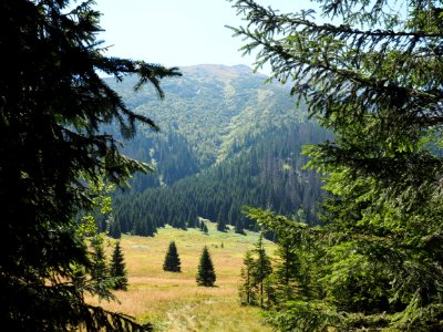 Nature Ecosystem Wilderness Nature Reserve photo