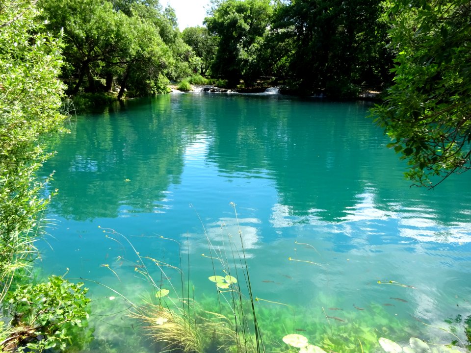 Water Water Resources Nature Vegetation
