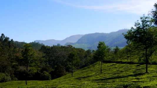 Grassland Vegetation Highland Mountainous Landforms