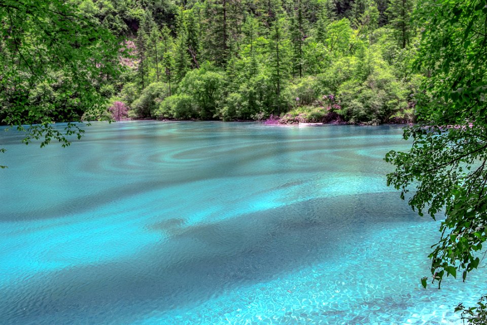 Nature Water Vegetation Body Of Water